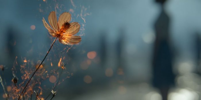 ChatGPT提示词_前景有轻微燃烧的花朵，背景模糊的人物_gpt会员有什么用缩略图