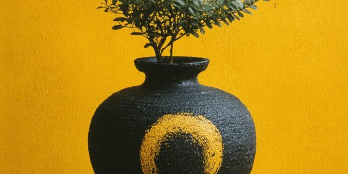 ChatGPT提示词_Patootie_chatgptplus缩略图