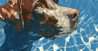 ChatGPT提示词_棕色拉布拉多犬在蓝色水中游泳，线性版画风格简约_chatgpt5多少钱缩略图