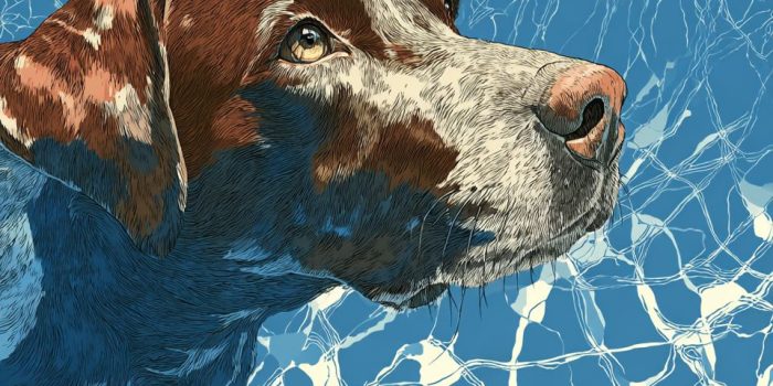 ChatGPT提示词_棕色拉布拉多犬在蓝色水中游泳，线性版画风格简约_chatgpt5多少钱缩略图