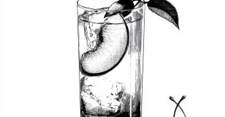 ChatGPT提示词_桃杏汽泡饮图案简约风格_chatgpt4.0在线网页缩略图