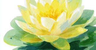 ChatGPT提示词_简约风格的莲花水彩插图_chatgpt5.0下装缩略图