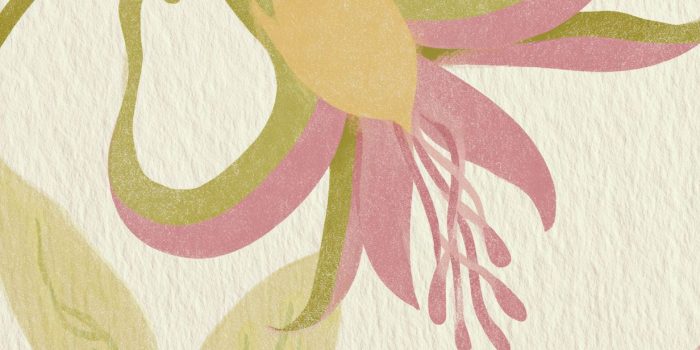 ChatGPT提示词_这是一幅充满创意的民俗插画，特写展示了一朵带有有机风格的花朵_chatgpt5官网缩略图