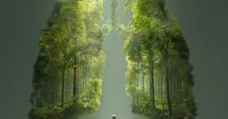 AI提示词_人类肺部轮廓里展现生机勃勃的森林，传递医疗希望与宁静氛围_chatgpt网页版免登录缩略图