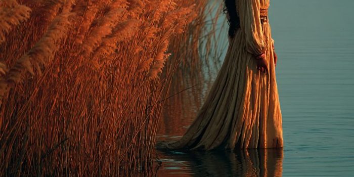 ChatGPT提示词_米莉暗中守护着尼罗河岸边的竹 reeds，注视着漂流的篮子_gpt会员购买缩略图