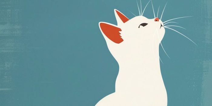 ChatGPT提示词_可爱的白猫坐着，极简海报配以明亮的蓝色背景_chatgpt中文网缩略图