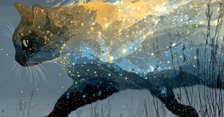 ChatGPT提示词_星星编织的猫在夜空中奔跑_chatgpt官网网址缩略图