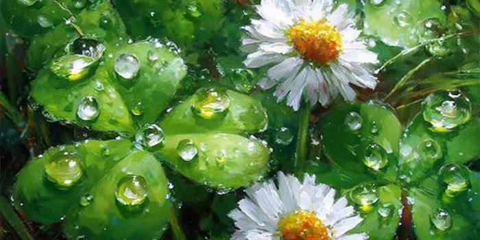 ChatGPT提示词_夏雨过后，四叶草上晶莹的水珠闪耀着光芒，几朵白色雏菊散发着清新治愈的气息_chat gpt会员缩略图