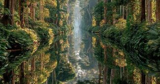 AI提示词_亚马逊地区的土著抵抗艺术_chatgpt国内能用吗缩略图