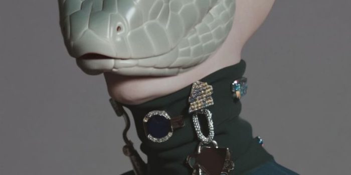 ChatGPT提示词_一个令人不安的角色，具有蛇的特征和复杂的面部结构_chatgpt入口缩略图