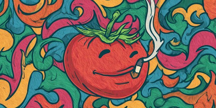 ChatGPT提示词_一个简单风格的儿童画，画的是一个抽象的吸烟番茄，背景色彩鲜艳且充满动感_chatgpt50官网中文版缩略图