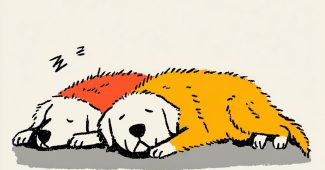 ChatGPT提示词_金毛猎犬优雅地悠闲地躺着_gpt会员缩略图