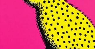 AI提示词_猫_chat gpt会员价格缩略图