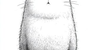 ChatGPT提示词_一个白猫角色，正面视图，简洁的黑色线条艺术，卡通风格_chatgpt中文官网缩略图