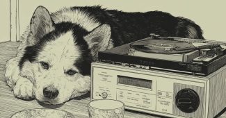 ChatGPT提示词_一只舍尔犬在90年代的磁带播放机旁闲卧，旁边有一小碗Fafda零食_chatgpt会员共享缩略图