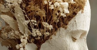 ChatGPT提示词_一块柔和的雕刻大理石女性头像，头顶如浅 vessel 开放，里面长着干枯的小花园，营造出静谧的回忆感_国内如何开通gpt会员卡流程图缩略图