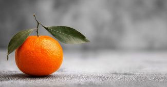 AI提示词_一只附带小叶子的橙子特写_chatgpt.com.缩略图