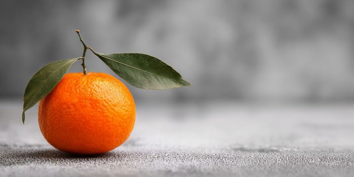 AI提示词_一只附带小叶子的橙子特写_chatgpt.com.缩略图