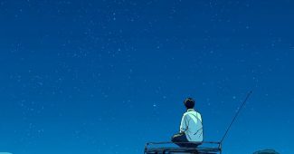 AI提示词_一辆车上的男人与夜空下的草坡_如何购买gpt会员便宜点缩略图