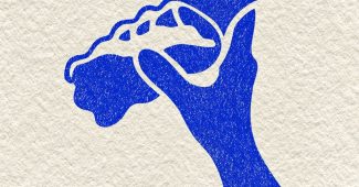 Ai提示词_手正在捡起一个塑料瓶的插图_chatgpt会员激活码缩略图