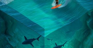 AI提示词_一个冲浪者在波浪上冲浪，两个鲨鱼在水底游泳_买gpt会员缩略图