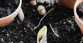 ai提示词_扩展图像_chatgpt帐号缩略图