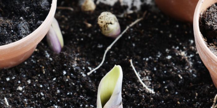 ai提示词_扩展图像_chatgpt帐号缩略图