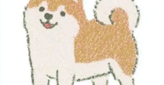 AI提示词_一只黄色的韩国珍豆犬好奇地歪着头_chatgpt帐号批发缩略图