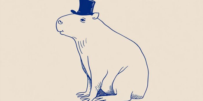 AI提示词_卡匹巴拉戴着高顶帽的侧面简笔画_chatgpt.com官网缩略图