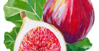 AI提示词_两颗无花果生动的插画，一个被切成两半，背景有叶子，色彩鲜艳_chatgpt在线网页版缩略图