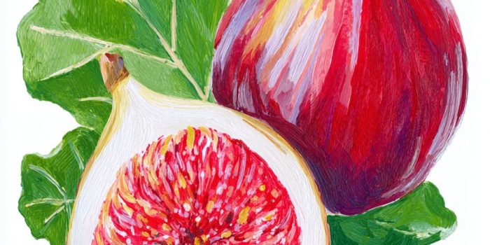 AI提示词_两颗无花果生动的插画，一个被切成两半，背景有叶子，色彩鲜艳_chatgpt在线网页版缩略图