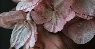 Ai提示词_一朵绽放的粉色牡丹，展现出优雅的艺术氛围缩略图