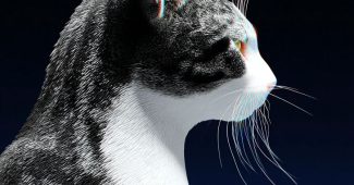 Ai提示词_展示了猫的图像缩略图