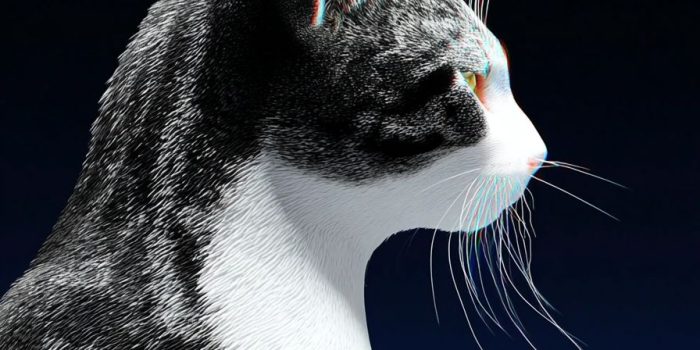 Ai提示词_展示了猫的图像缩略图