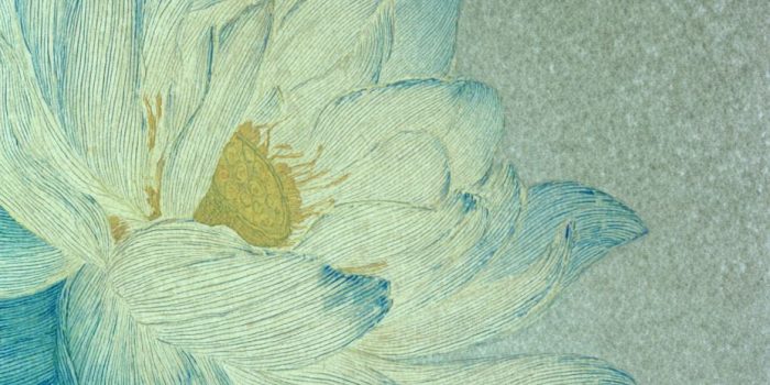 Ai提示词_这幅插图以岩石色为主，描绘了一朵蓝白渐变色的莲花，细腻的质感和传统工笔画风格相结合缩略图