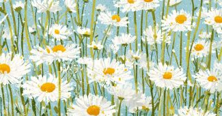 AI提示词_一幅展示雏菊的插图，包含白色花朵和黄色中心的细节_chatgpt会员多少钱一个月缩略图