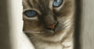 ai提示词_猫的图像_chatgpt5.0中文版缩略图