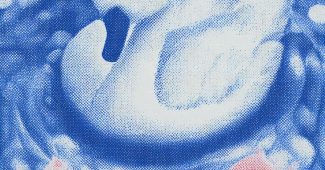 AI提示词_设计展示了一只头部潜入水中的白天鹅，后身浮出水面，脚朝上，背景由蓝色噪点和红色细节构成_chatgpt在线网页聊天缩略图