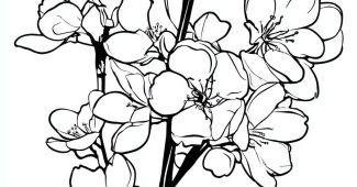 AI提示词_清晰的黑白花卉图案_chatgpt手机版缩略图