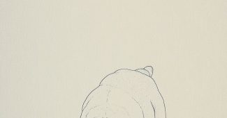 Ai提示词_胖狗喝可乐缩略图