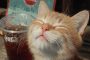 Ai提示词_一只快乐的猫在喝可乐缩略图