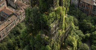 Ai提示词_新型城市生物塔采用生物材料建造，外观如同高耸的森林，并具有半透明的结构缩略图